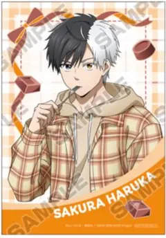 WIND BREAKER バレンタイン　特典　ブロマイド　桜遥　⭕️最終値下げ