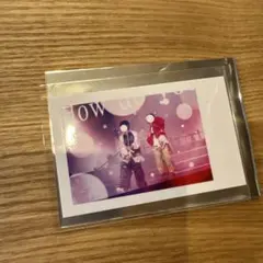 匿名配送　いれいす　実写チェキ　りうしょー　りうら　初兎