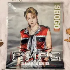 【na様専用】岩谷翔吾 タペストリー