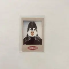 stray kids バンチャン　skzoo トレカ