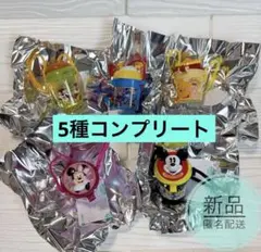 ディズニー　カプセルトイ　ポップコーンバケット　キーチェーン　コンプリート　5種のサムネイル