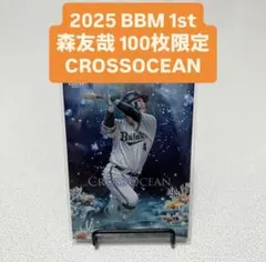 Item thumbnail for item 2cca9b40-8d54-48e2-9da0-106a275e0143