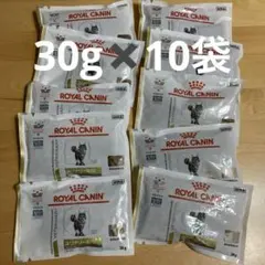 Item thumbnail for item d2d99e9c-9ba9-49c0-bfc6-af063918ea54