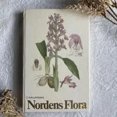 2026年最新】植物図鑑 洋書の人気アイテム - メルカリ