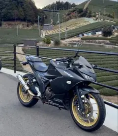値下げ】gsx250r 前後50mmローダウン仕様 ヨシムラマフラー低走行等 