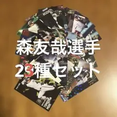 プロ野球チップスカード森友哉選手23種まとめセット(キラ11種、ノーマル11種他