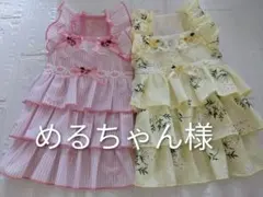 正規品】一期一会薔薇接木苗 希少品種 ラベル付き 開花株（大苗6号角深