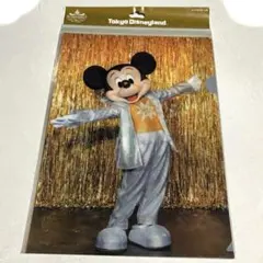 東京ディズニーランド　ワンマンズドリーム2 2019 クリアホルダー5枚セット