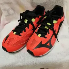 Mizuno ジュニア　スピードマッハ2　22cm