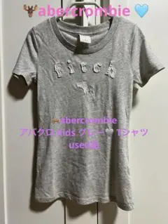 abercrombie アバクロ kids グレー Tシャツ used品