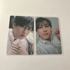 stray kids チャンビン giantトレカ