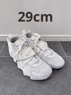 Item thumbnail for item e54313e3-6245-4a72-96d9-f7eb1685bac1