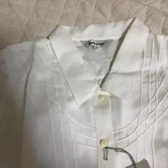 Item thumbnail for item 66e4ee22-25c1-47c3-9057-839379ed946d