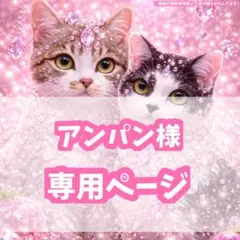 アンパン様専用ページ♡