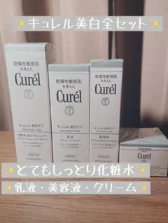 キュレル エイジングケア 化粧水2本、クリーム2個 - メルカリ