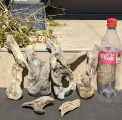 Item thumbnail for item f0609bf0-8bf0-471e-a2de-462468af5970