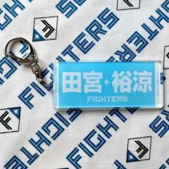 日本ハムファイターズ 父の日応援タオルデザインキーホルダー【田宮裕涼】