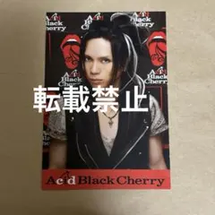 Acid Black Cherry ポストカード yasu ABC - メルカリ