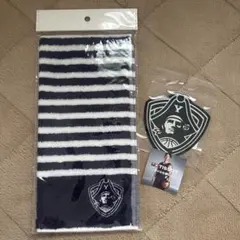 ビーコルセアーズ　グッズのサムネイル