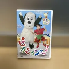 いないいないばあっ！ ピカピカブ〜！ DVD