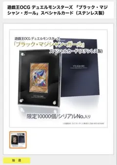2026年最新】ブラックマジシャンガール ステンレスの人気アイテム