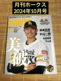 micota8様 リクエスト 2点 まとめ商品