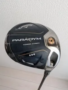 2025年最新】パラダイムトリプルダイヤモンド ドライバー 9の人気