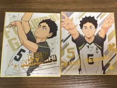 ハイキュー!! 赤葦京治 色紙