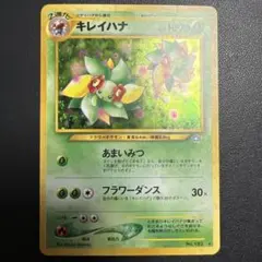 キレイハナ 旧裏 ⚫︎拡張パック第1弾 金、銀、新世界へ…【渦巻きホロ