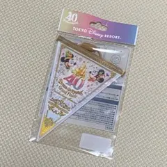 値下げ中！ディズニー　ドリームガーランド　グランドフィナーレのサムネイル