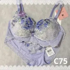 ワコール　ルジェ　リボンブラ＆ショーツ　C75　新品　匿名配送　パープル系