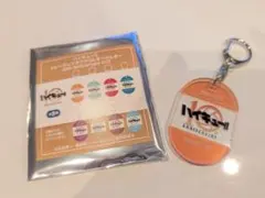 ハイキュー トレーディングアクリルキーホルダー 烏野高校