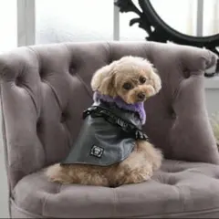 ANNA SUI アナスイ　フェイクレザーポンチョ　Sサイズ　犬服　新品