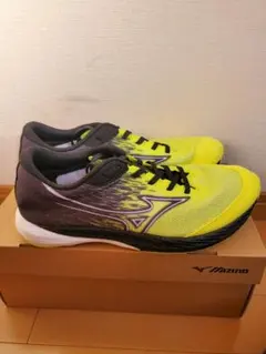 陸上 レーシング