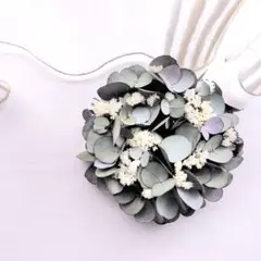 ユーカリとスターチスのリース　ドライフラワー　スワッグ