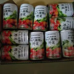 세타가야 내추럴 푸드 16가지 야채 160g 캔 10개 세트