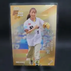 リッキー様 リクエスト 2点 まとめ商品