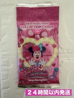 新品　ミニー　コレクションカード　ミニパル　ファンダーランド