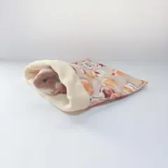 Item thumbnail for item 02b426d7-5c63-4ecc-a53d-ca6a7470b201