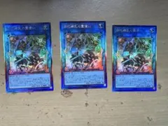 四花繚乱の霊使い 3枚セット