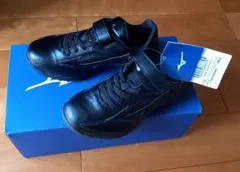 Item thumbnail for item 9a8d6f29-f118-45ed-8f16-e72e446d4eda