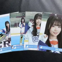 2026年最新】坂井新奈の人気アイテム - メルカリ