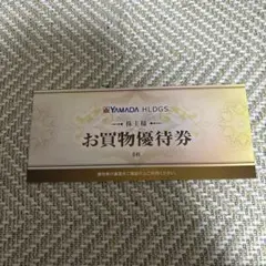 ヤマダ電機　YAMADA HLDGS. お買物優待券 6枚セット