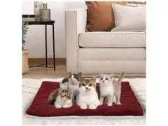 Item thumbnail for item 6c0c011f-5731-4d77-a510-53a2feb8f5f4