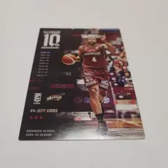 Bリーグ 10周年記念トレカ