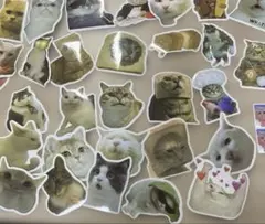 Item thumbnail for item 2b20b20d-b15f-4ab0-b0a8-12d79649e4fc