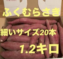 2025年最新】ふくむらさきの人気アイテム - メルカリ