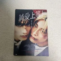 映画　純愛上等! フライヤー30枚セット