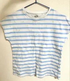 すみっコぐらし Tシャツ 子供用
