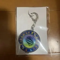 ポケモン メガシンカキーホルダー